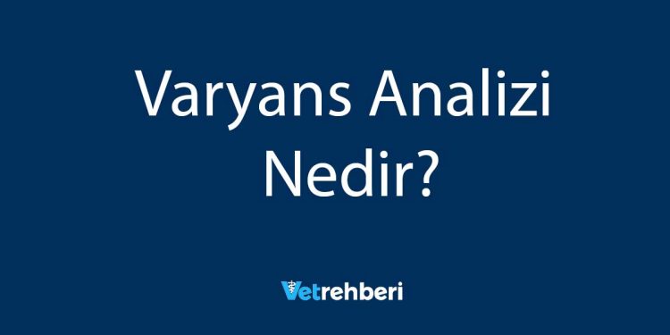 Varyans Analizi Nedir?