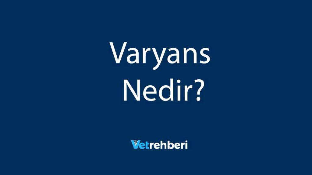 Varyans Nedir?