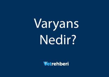 Varyans Nedir?