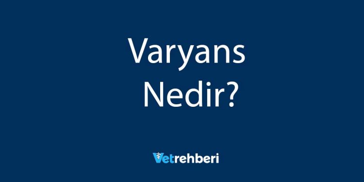 Varyans Nedir?