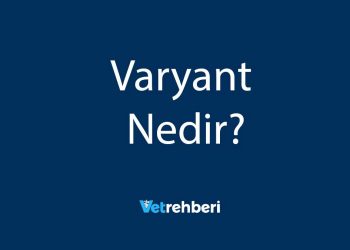 Varyant Nedir?