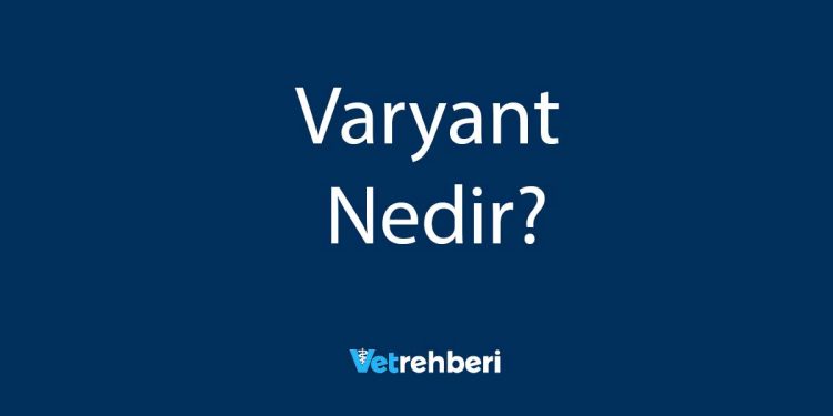 Varyant Nedir?