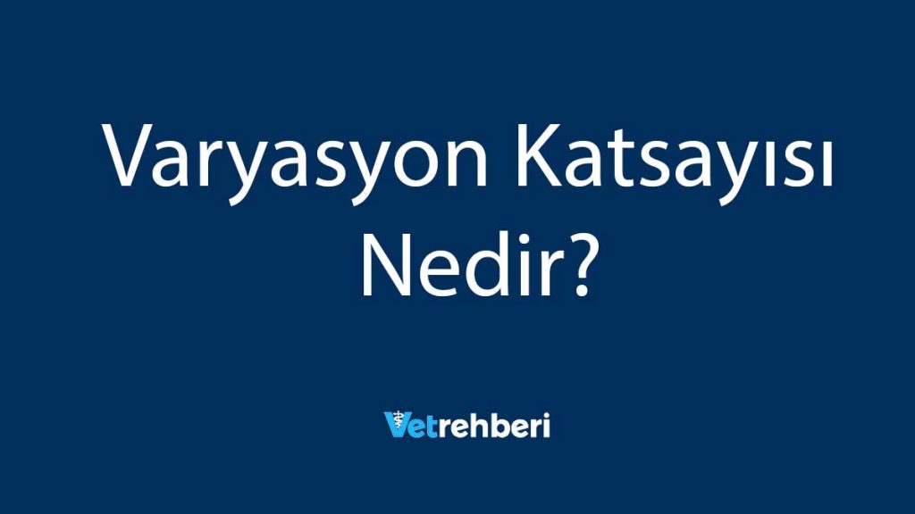 Varyasyon Katsayısı Nedir?