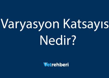 Varyasyon Katsayısı Nedir?