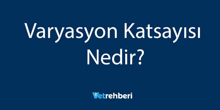 Varyasyon Katsayısı Nedir?