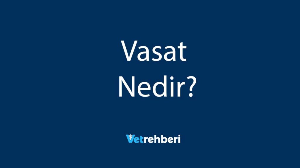 Vasat Nedir?