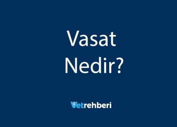 Vasat Nedir?