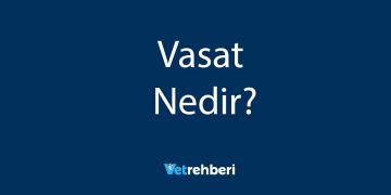 Vasat Nedir?