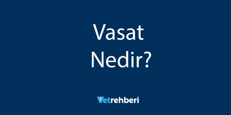 Vasat Nedir?