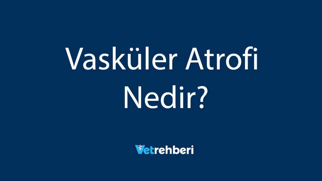 Vasküler Atrofi Nedir?