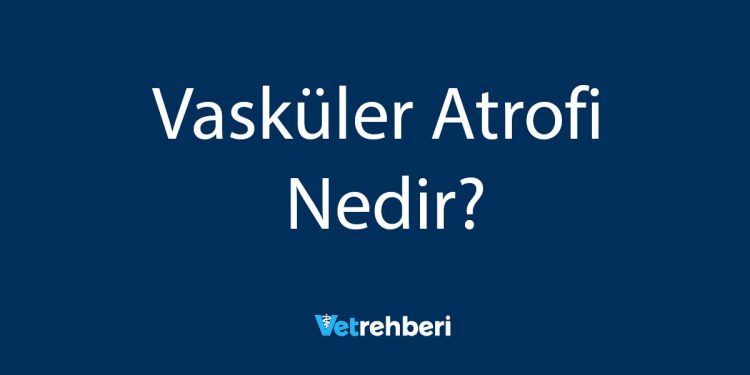 Vasküler Atrofi Nedir?