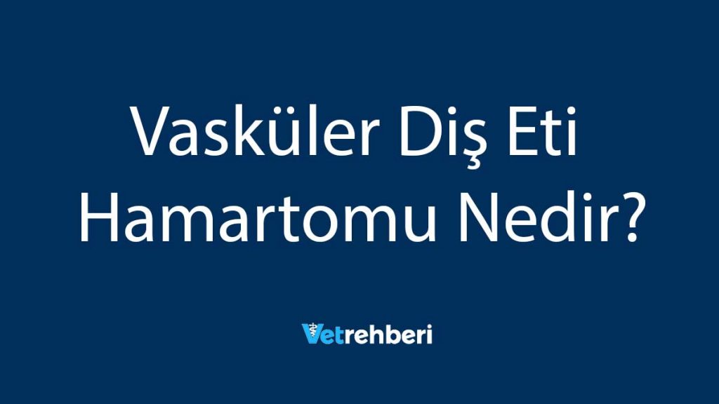 Vasküler Diş Eti Hamartomu Nedir?