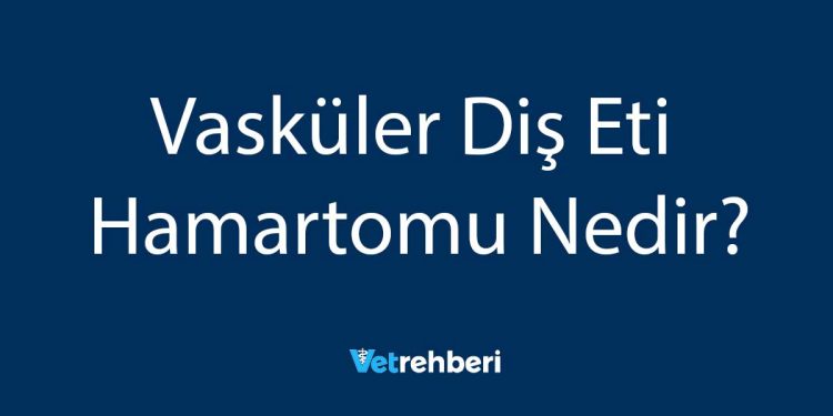 Vasküler Diş Eti Hamartomu Nedir?