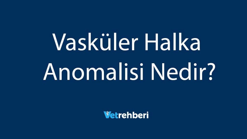 Vasküler Halka Anomalisi Nedir?