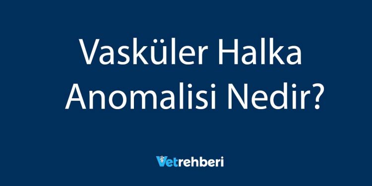 Vasküler Halka Anomalisi Nedir?