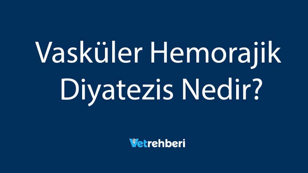 Vasküler Hemorajik Diyatezis Nedir?