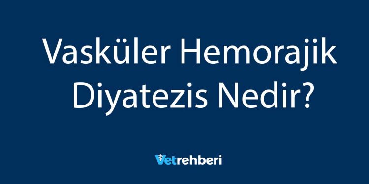 Vasküler Hemorajik Diyatezis Nedir?