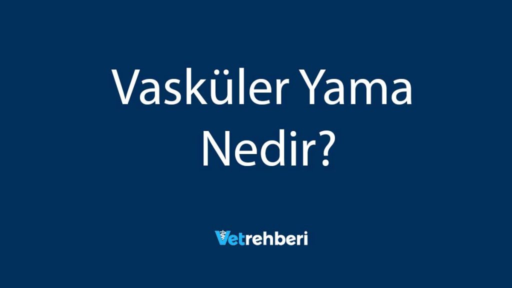 Vasküler Yama Nedir?