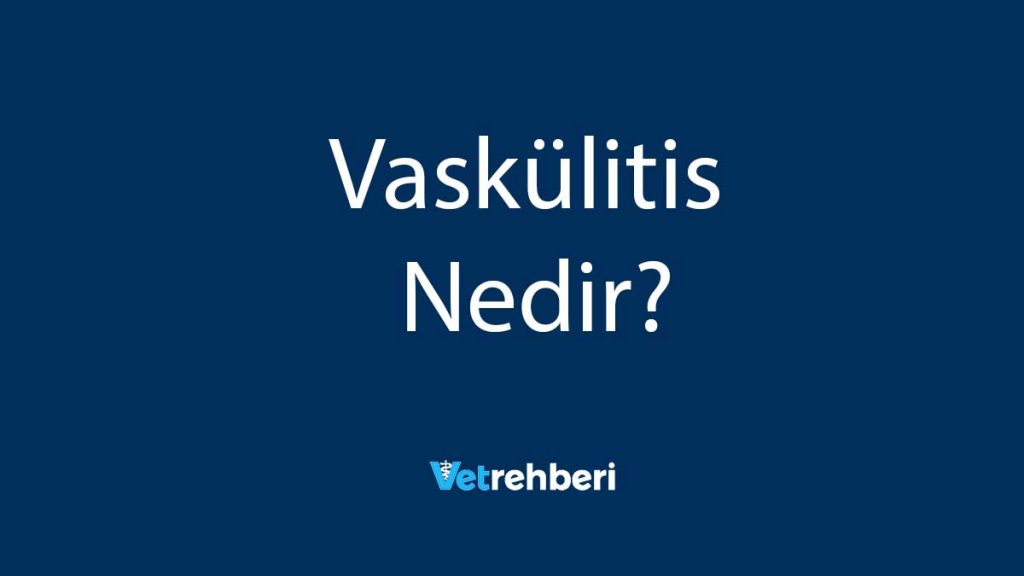 Vaskülitis Nedir?