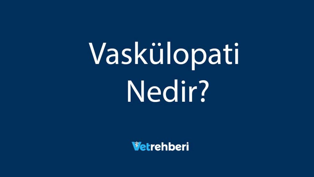 Vaskülopati Nedir?