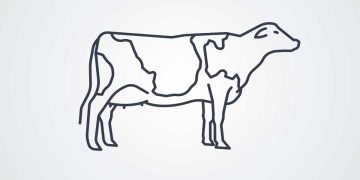 Sığırlarda Kemik Hastalıkları