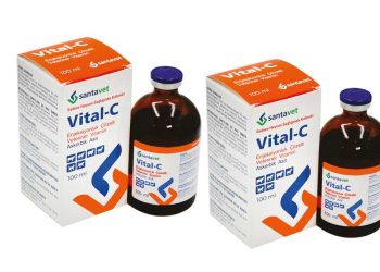 Vital-C