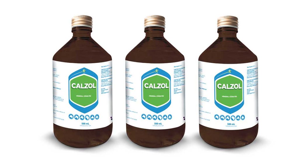 Calzol