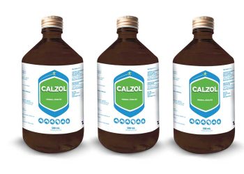 Calzol