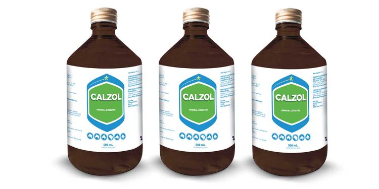 Calzol