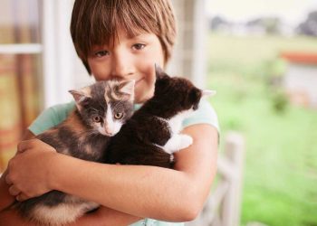 Evcil Hayvanların Sağlıklı Çocuklar Yetiştirilmesine Yardımı var mı?
