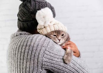 Mikrospori (Microsporum) Mantar Hastalığı