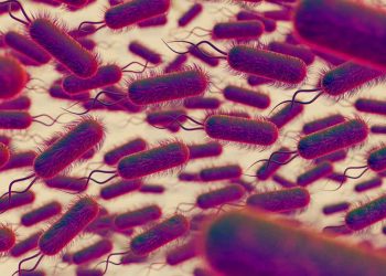 Pnömosistoz (Pneumocystis Pnömonisi) Mantar Hastalığı