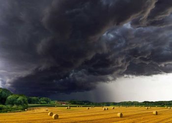 Ülkemin Tarım ve Hayvancılığa Dair Bir Kaç Not