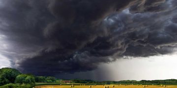 Ülkemin Tarım ve Hayvancılığa Dair Bir Kaç Not