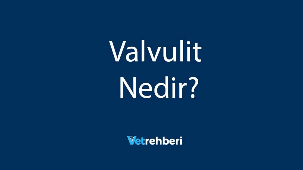 Valvulit Nedir?