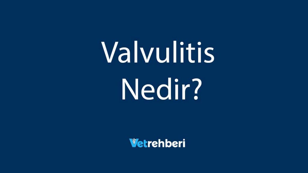 Valvulitis Nedir?