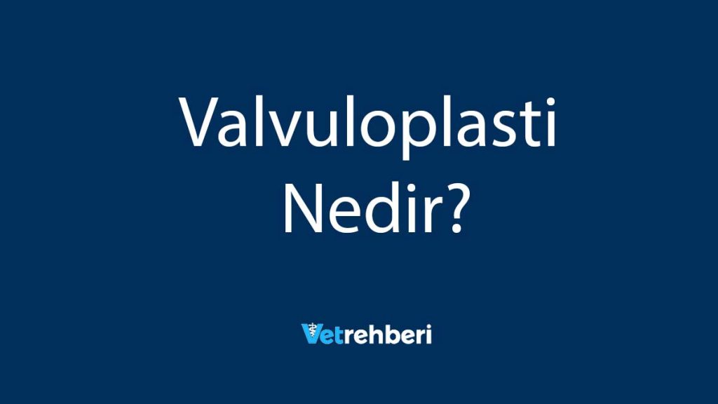 Valvuloplasti Nedir?