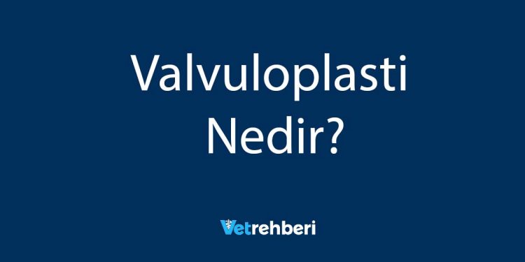 Valvuloplasti Nedir?