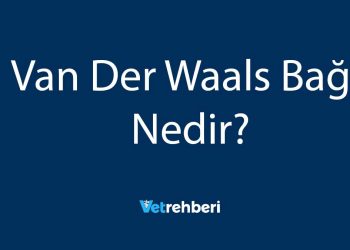 Van Der Waals Bağı Nedir?