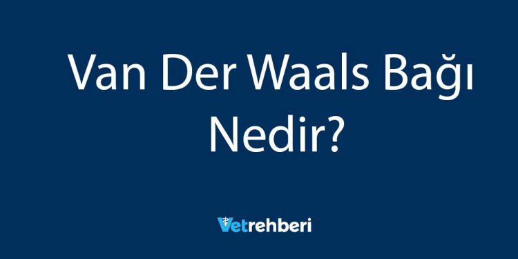 Van Der Waals Bağı Nedir?