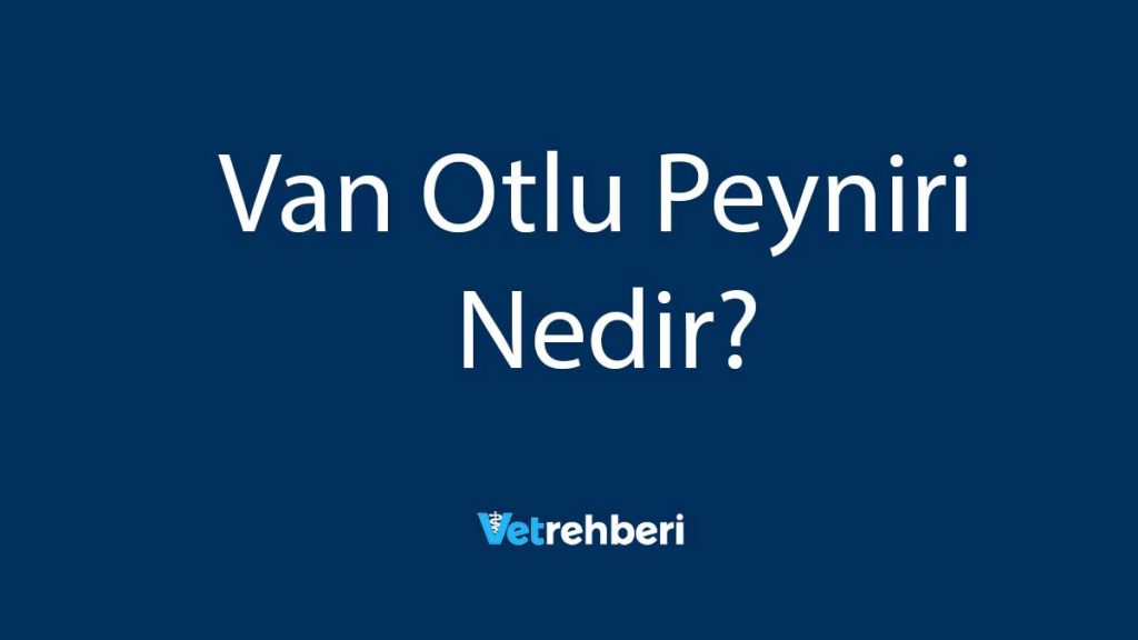 Van Otlu Peyniri Nedir?