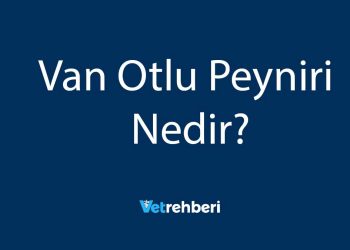 Van Otlu Peyniri Nedir?
