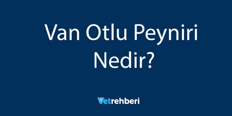 Van Otlu Peyniri Nedir?