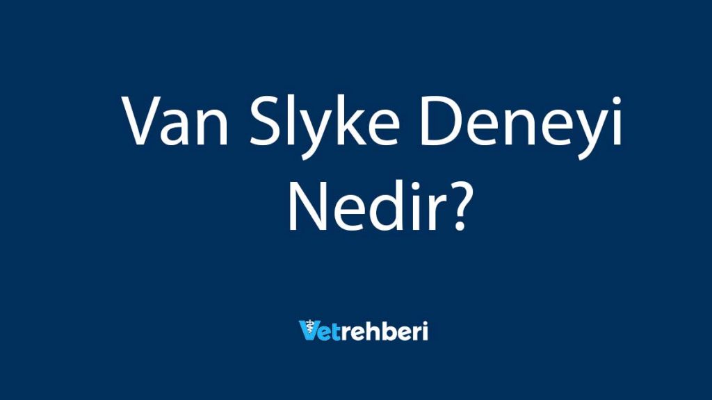 Van Slyke Deneyi Nedir?