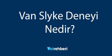 Van Slyke Deneyi Nedir?