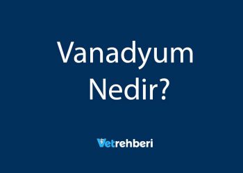 Vanadyum Nedir?