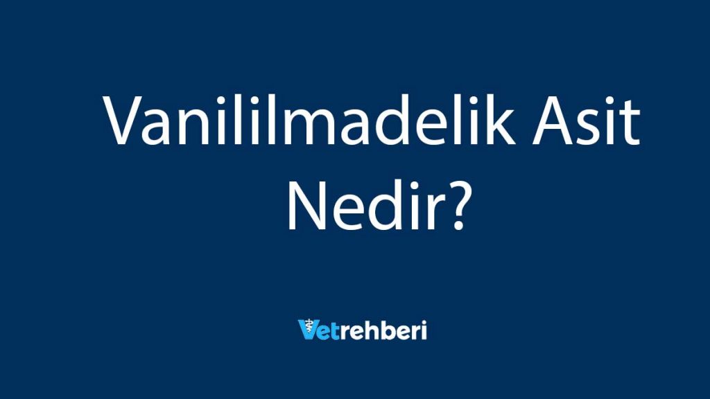 Vanililmadelik Asit Nedir?