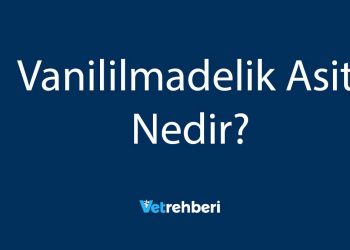 Vanililmadelik Asit Nedir?