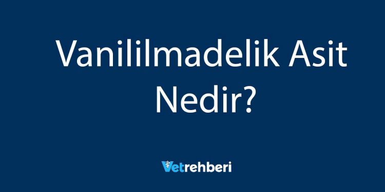 Vanililmadelik Asit Nedir?