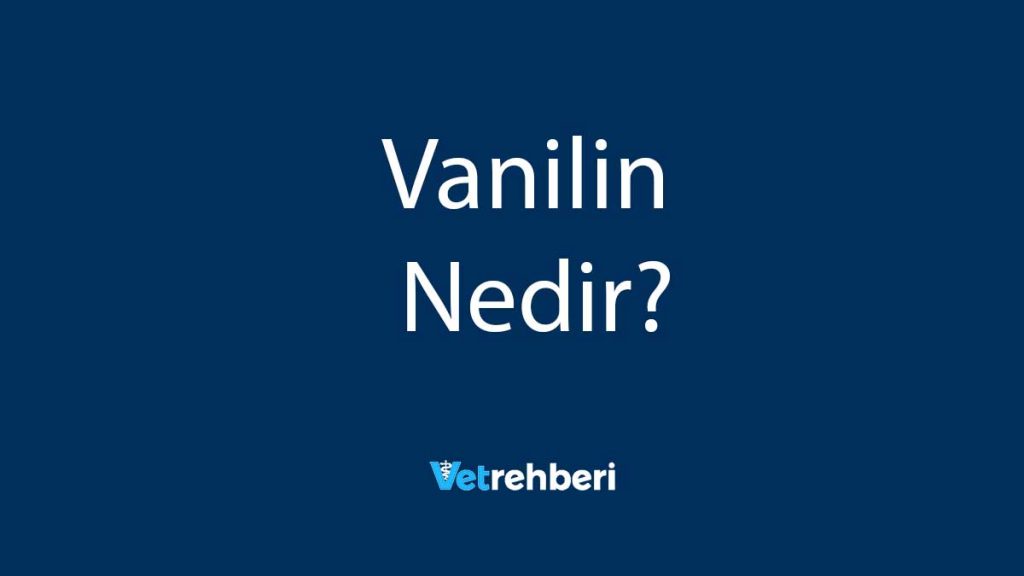 Vanilin Nedir?